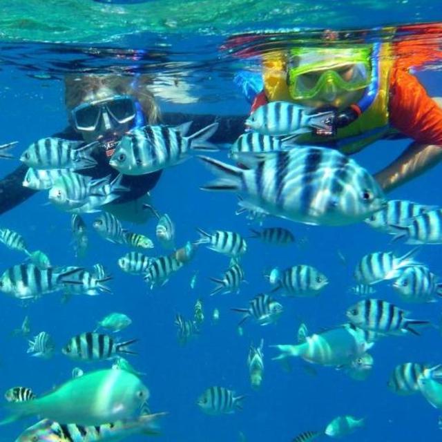 Private Snorkeling Tour