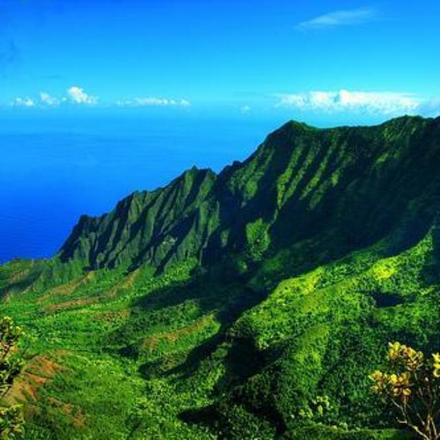 Maui Hiking Safari Tour