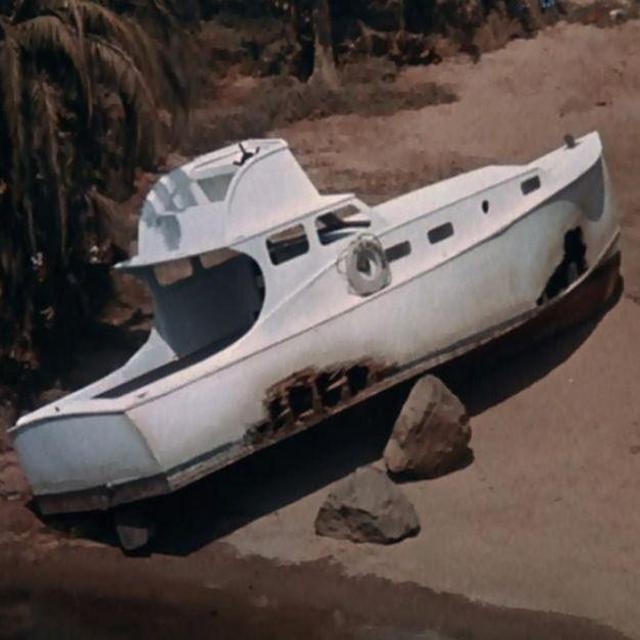 Honey Moon Cruise/Expenses