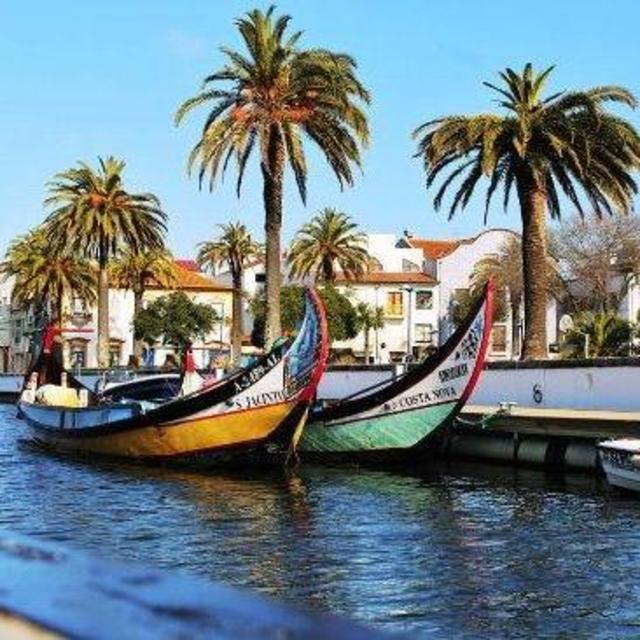 Half-Day Moliceiro Tour