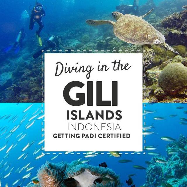 Scuba Diving in the Gili Islands