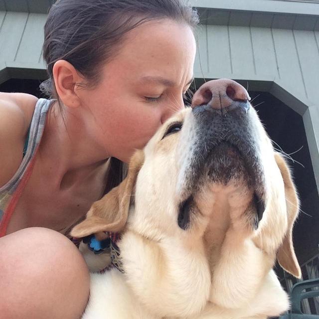 Honeymoon Pet Sitting