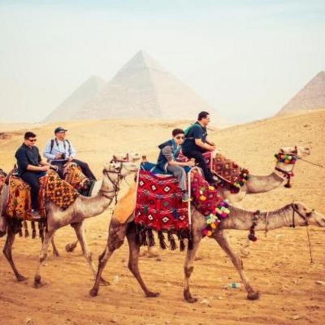 Camels Rides, Museums, Tours and Activities in Egypt