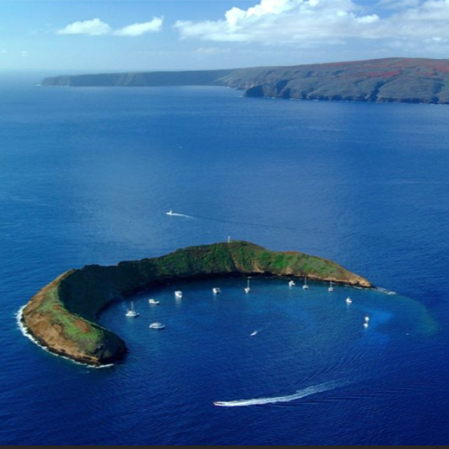 Molokini Crater + Turtle Town Snorkel Trip for 2