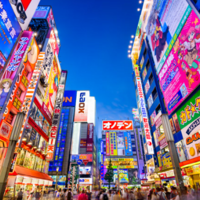 Tokyo Adventure