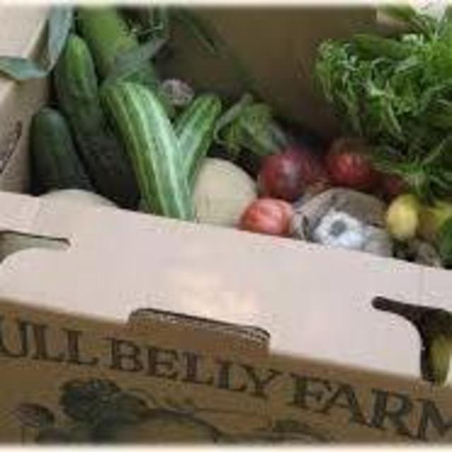 Community Supported Agriculture