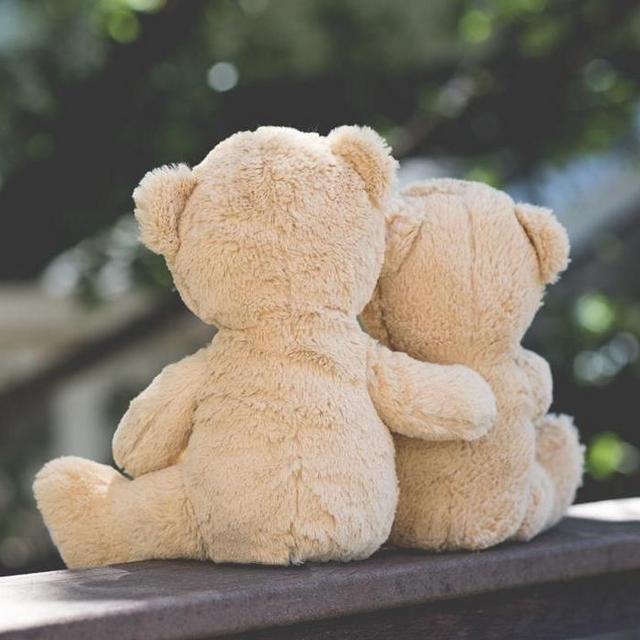 TRAVEL FUND: Help us reunite!