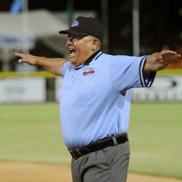 Ump Fees For A Game