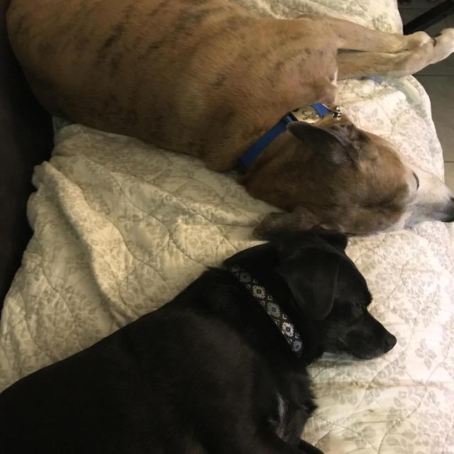 Home and Furniture Fund