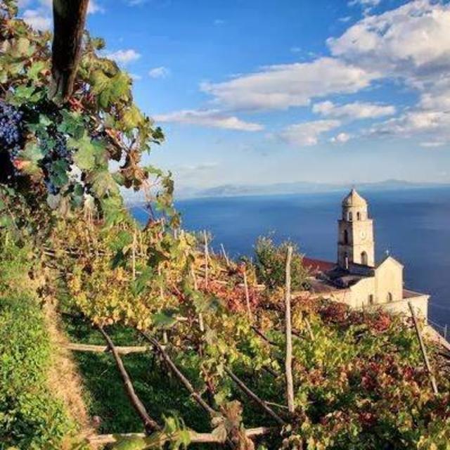 Wine Tasting & Tour at Cantine Marisa Cuomo, Praiano