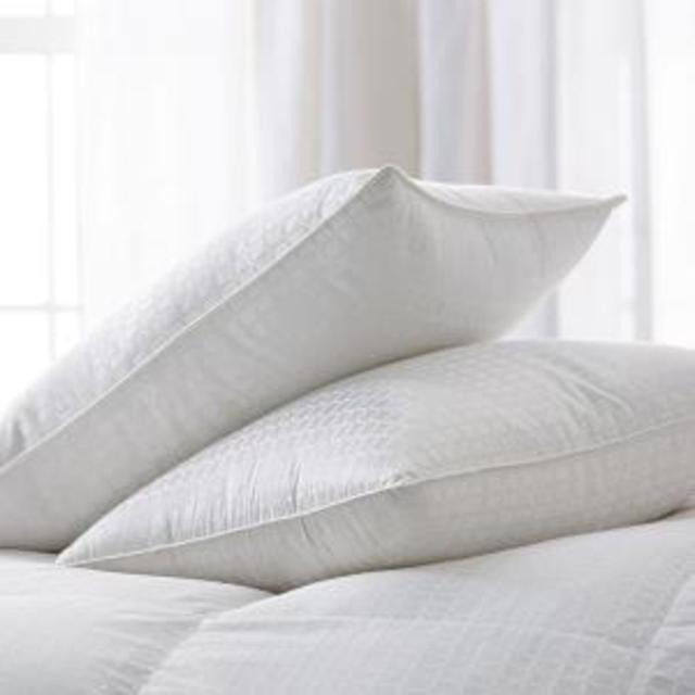 Down to Basics White Goose Down Pillow (King)