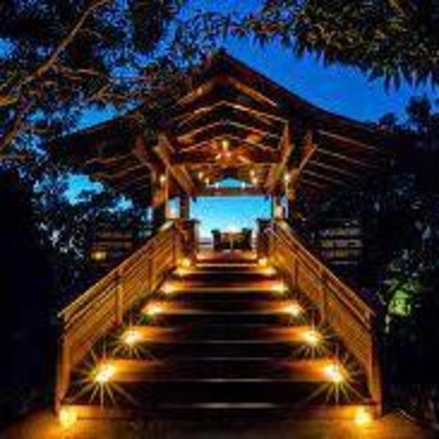 Treehouse Dinner!