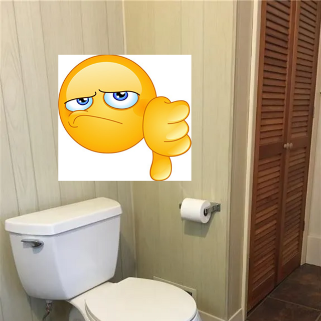 Bathroom Renovation SOS