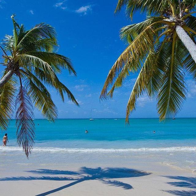 Honeymoon Fund- Punta Cana, DR