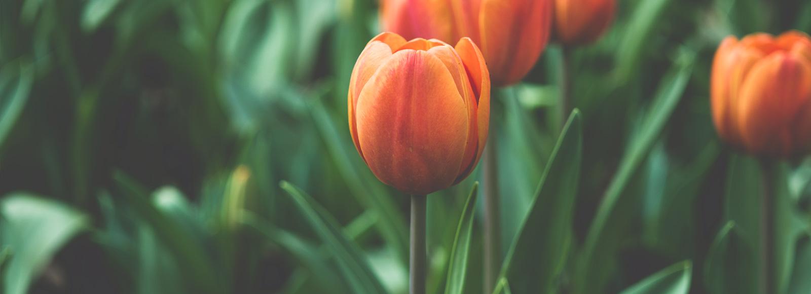 Joseph Rolston and Erika Restrepo's Wedding Registry on Zola