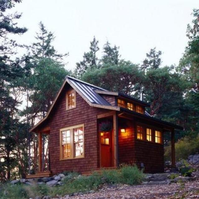 Cabin in the woods