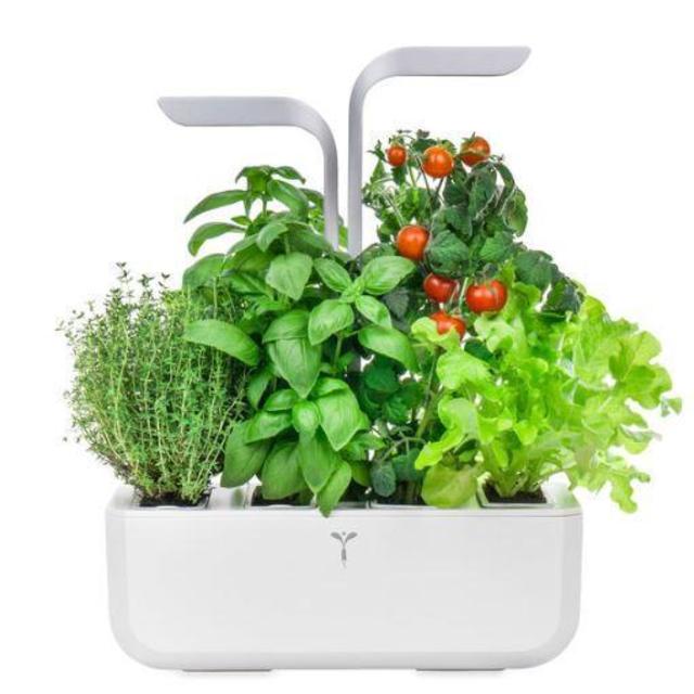 Veritable® Smart Indoor Garden