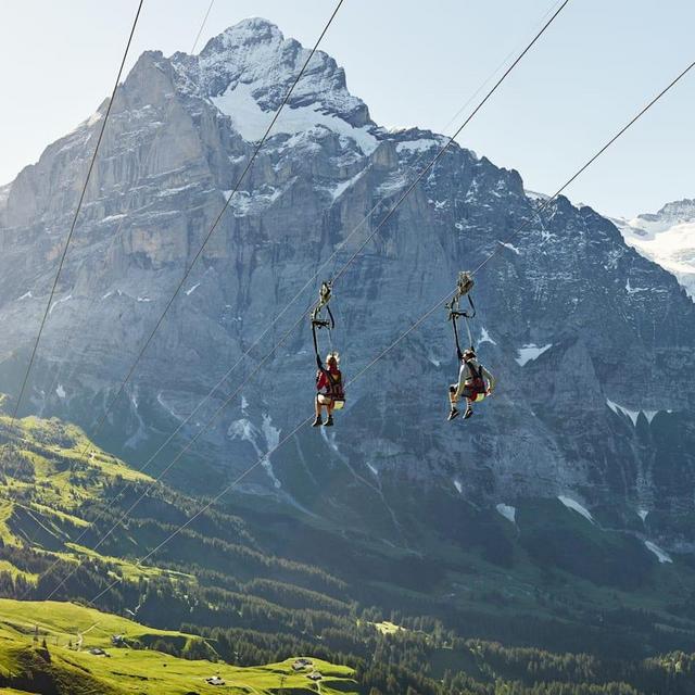 Zipline Adventure at the Top of Europe