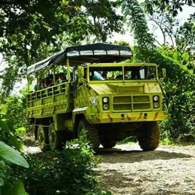 Half-Day Safari in Dominican Republic