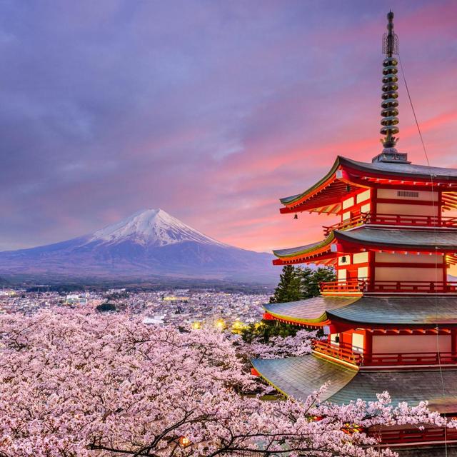 Our honeymoon to Japan!