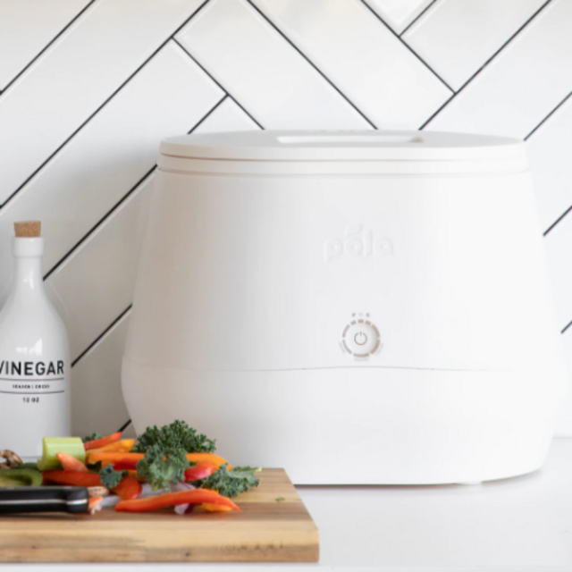 LOMI Food Waste Composter