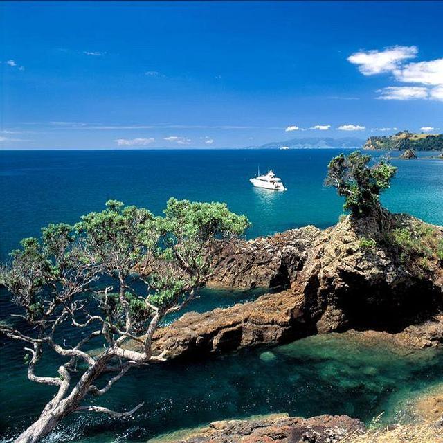 Waiheke Island Explorer