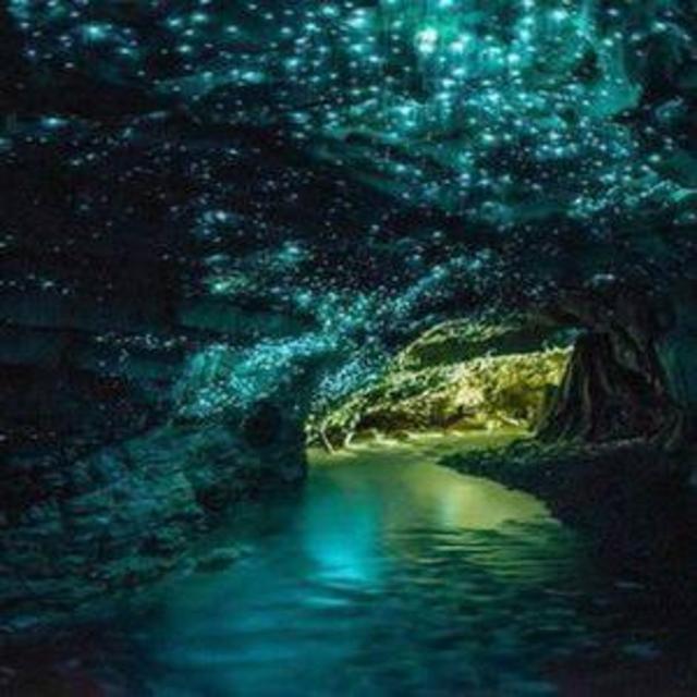 Rotorua Geothermal & Waitomo Glow Worm Caves