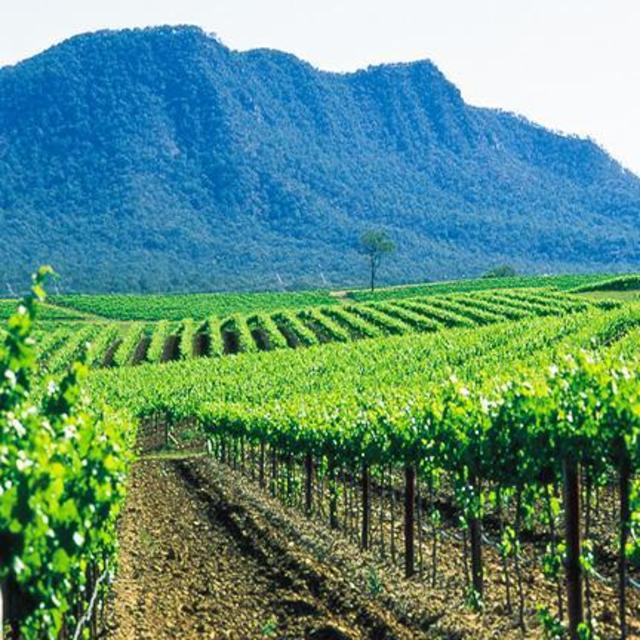 Sydney Wine Tour