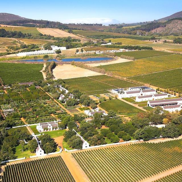 Recover From Jet Lag at Babylonstoren