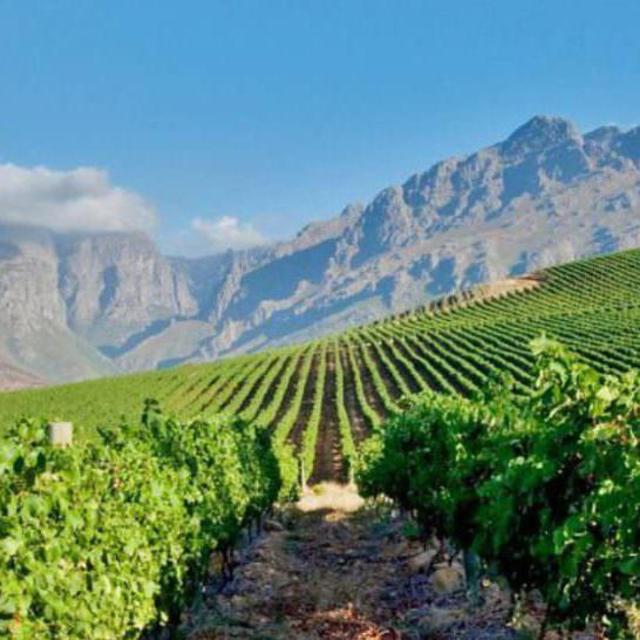 Wine Lands Tour