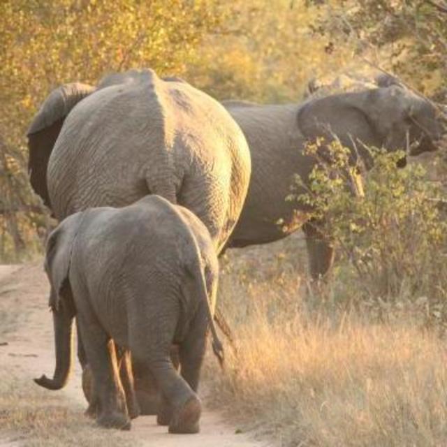 Makanyi Bush Walk
