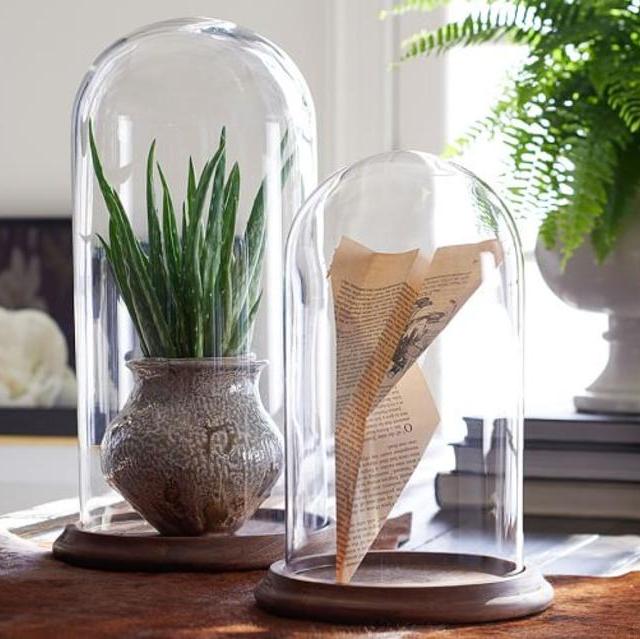 Glass Display Cloche, Small