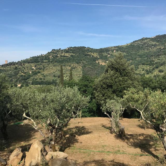 Our Italian Honeymoon Fund