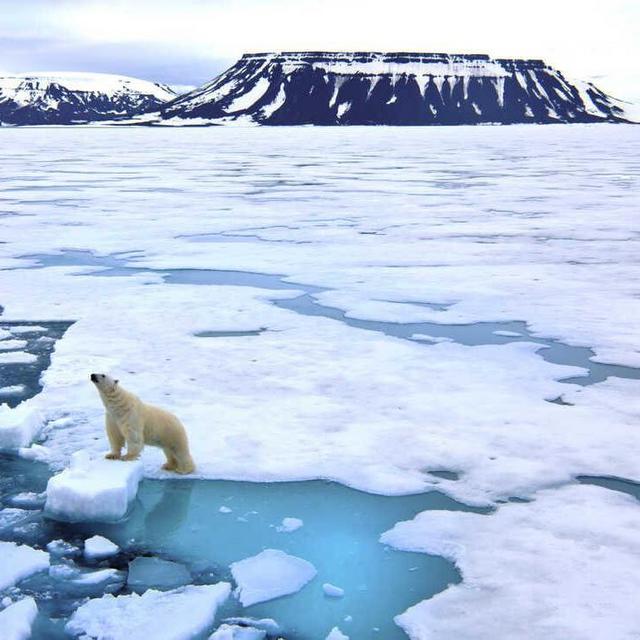 The Ocean Conservacy