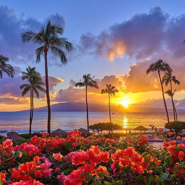 Help us fund our trip to Hawaii for our Honeymoon
