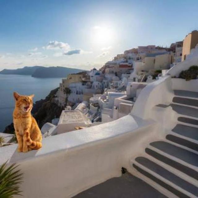 Our Honeymoon Travel Fund: For Flights and Hotels