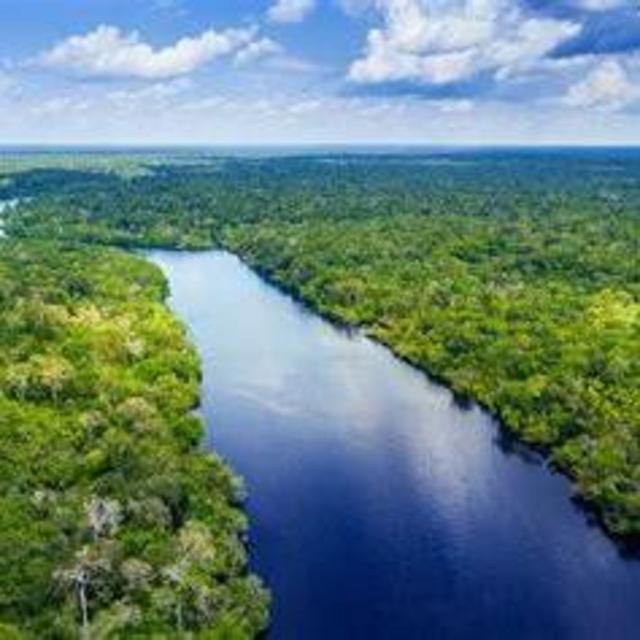 Donate to preserve and protect the Amazon