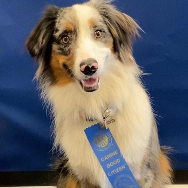 Treats for Whiskey as he continues his training