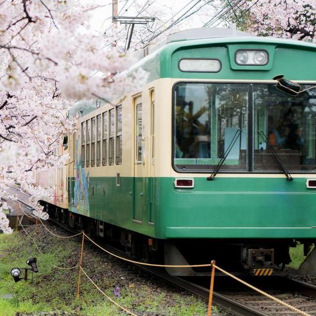 Train Pass for getting around Japan