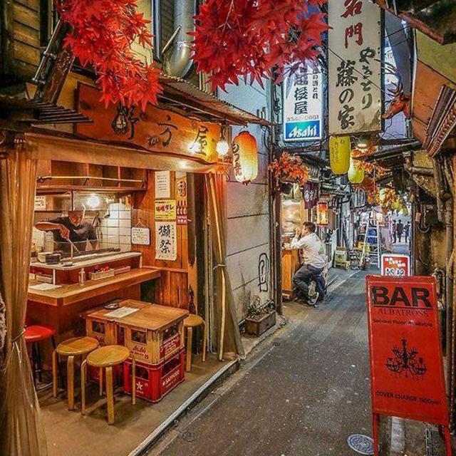 Dinner in Omoide-yokocho, Tokyo