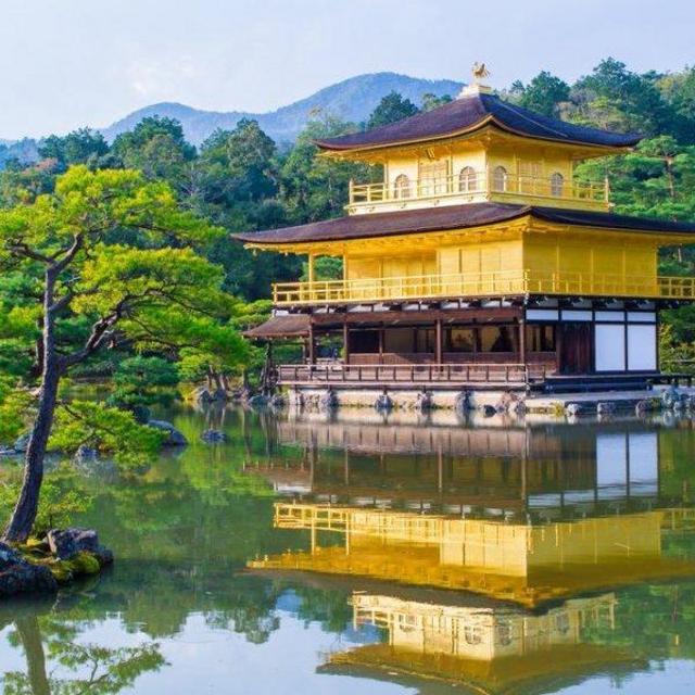 Coffee & Stroll Around Kinkakuji Temple in Kyoto, Japan