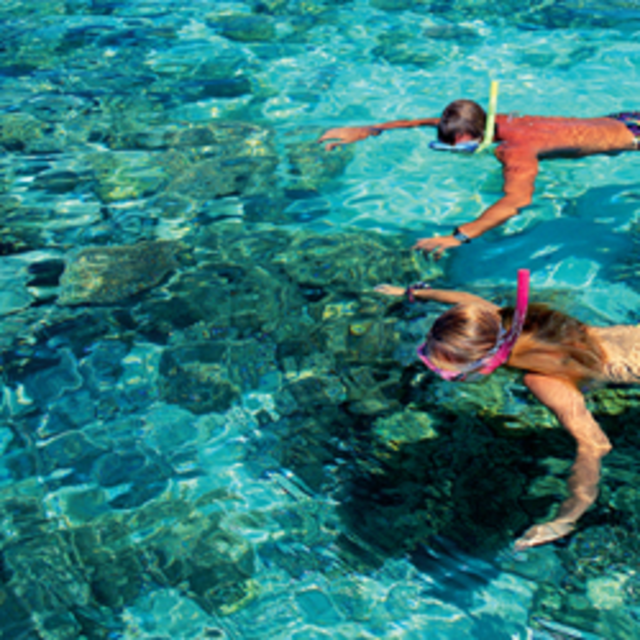 Snorkeling and Coral Reef Experience