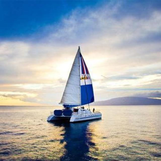 Catamaran Lunch Sail