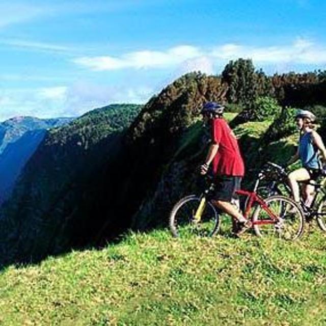 Guided Mountain Bike Tour