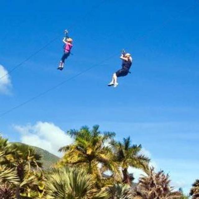 Zip Line