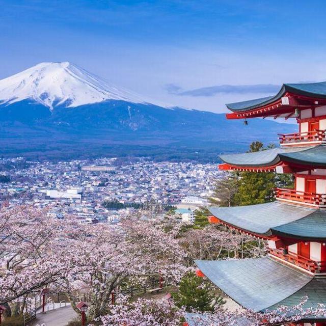 Honeymoon in Japan!