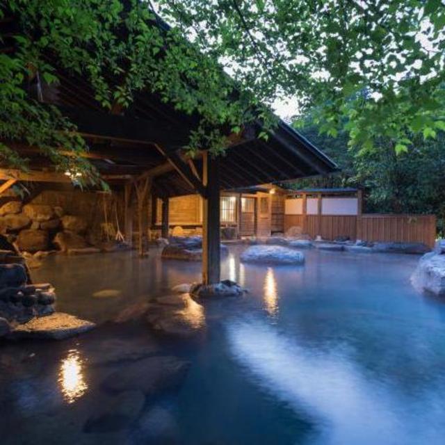 Traditional Japanese Hot Spring Bath (Onsen)