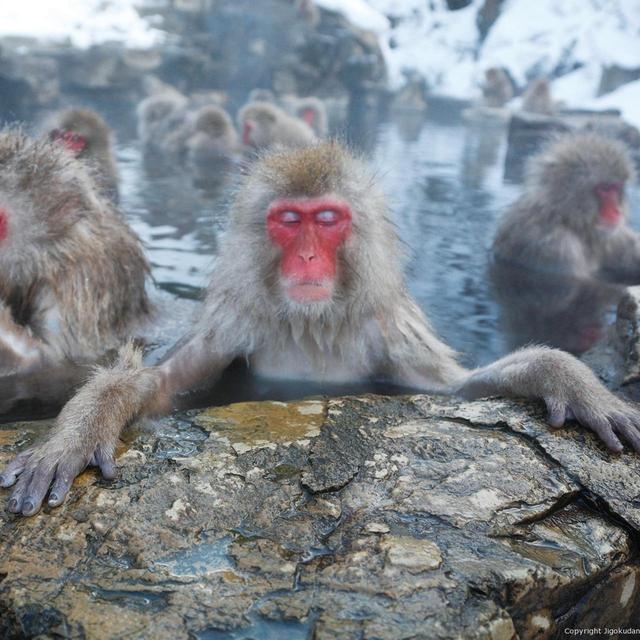 Full-Day Tour of Nagano