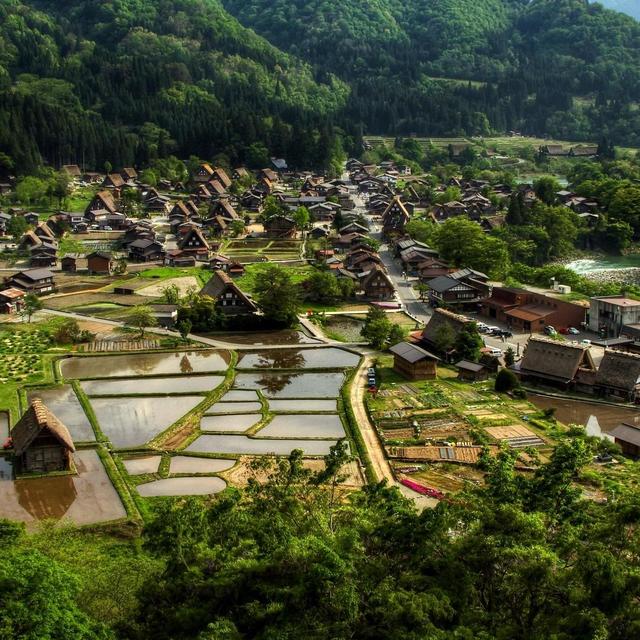 Day Tour of Shirakawago