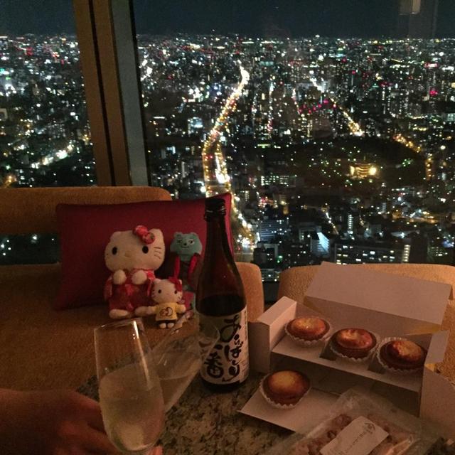 Osaka Accommodations